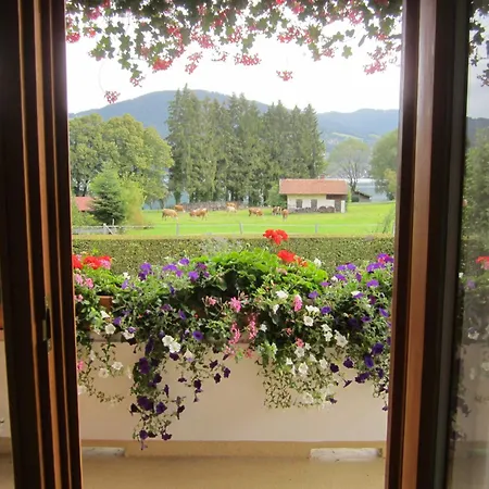Apartamento Gaestehaus Gartenheim Fam Schaeffler *