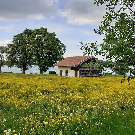 Gaestehaus Gartenheim Fam Schaeffler Apartamento